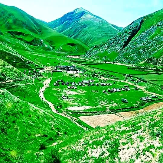 다하나예 고리 풍경 4