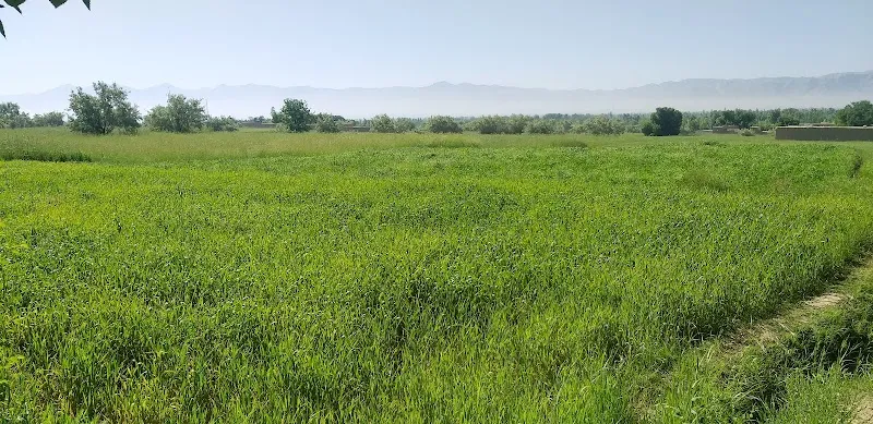 바라키 바라크, 아프가니스탄 – 로가르 계곡의 하루