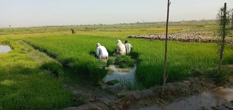 이맘 사히브 풍경 3