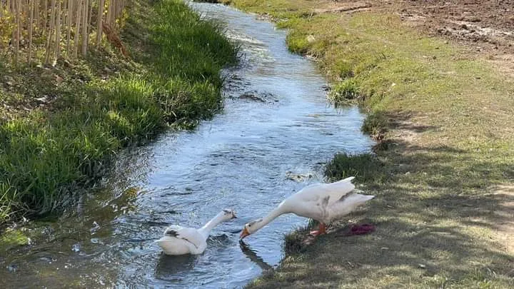 바미안 절벽의 석굴 사원들, 천 년 전 승려들이 수행하던 동굴들이 벌집처럼 뚫려 있다