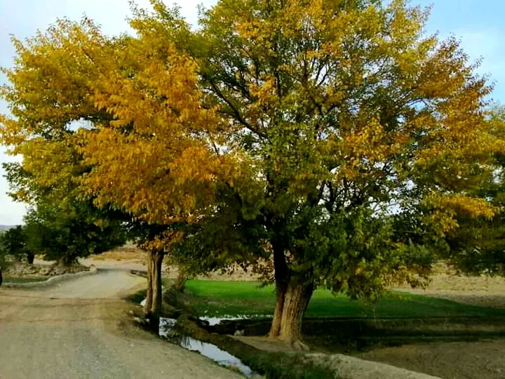 바라키바락 자연